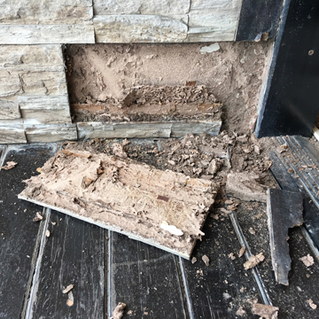 termite inspection