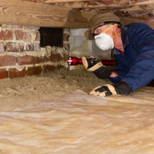 why you need a termite inspection