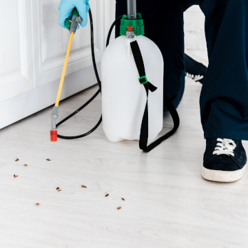pest control company